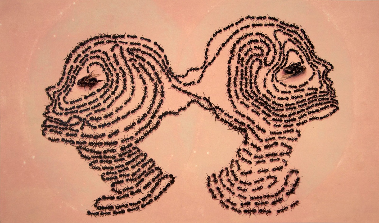 Pheromones
