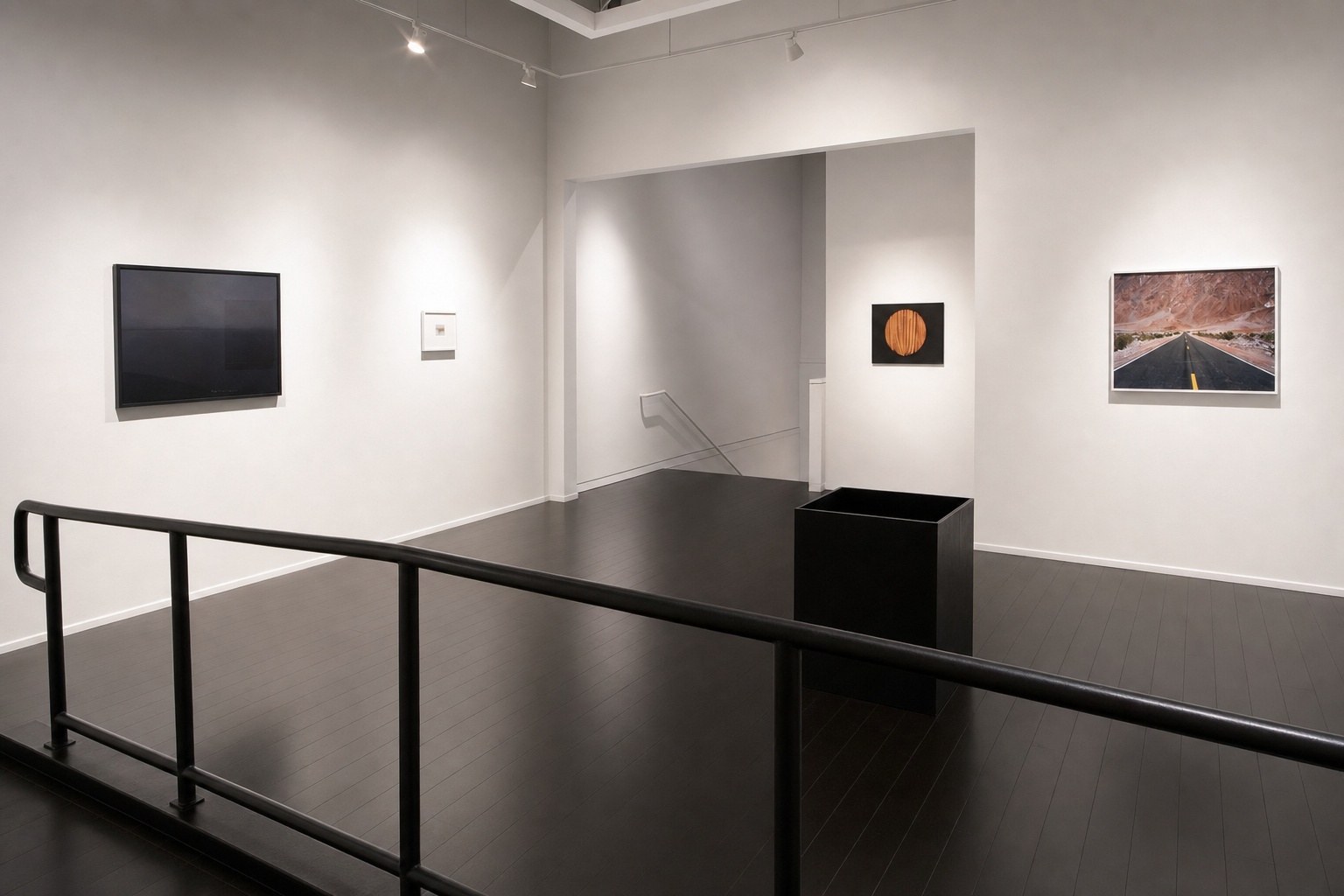 Better a Live Ass Than a Dead Lion — installation view, Eli Ridgway Gallery, San Francisco, 2011