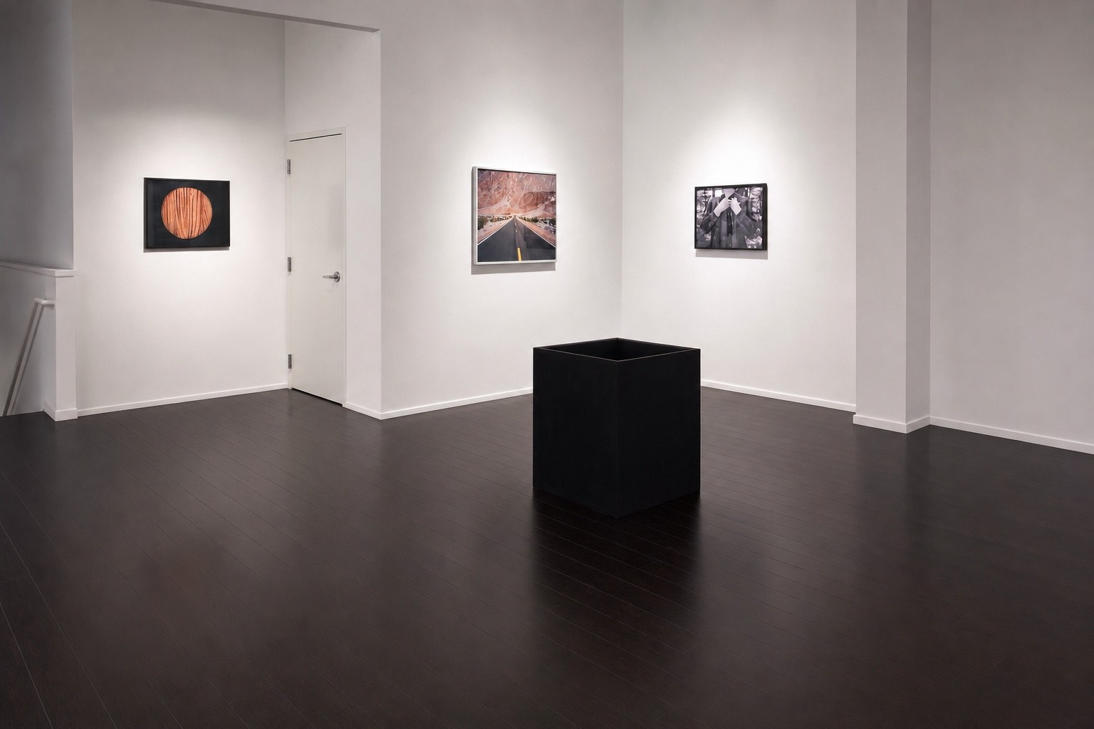 Better a Live Ass Than a Dead Lion — installation view, Eli Ridgway Gallery, San Francisco, 2011