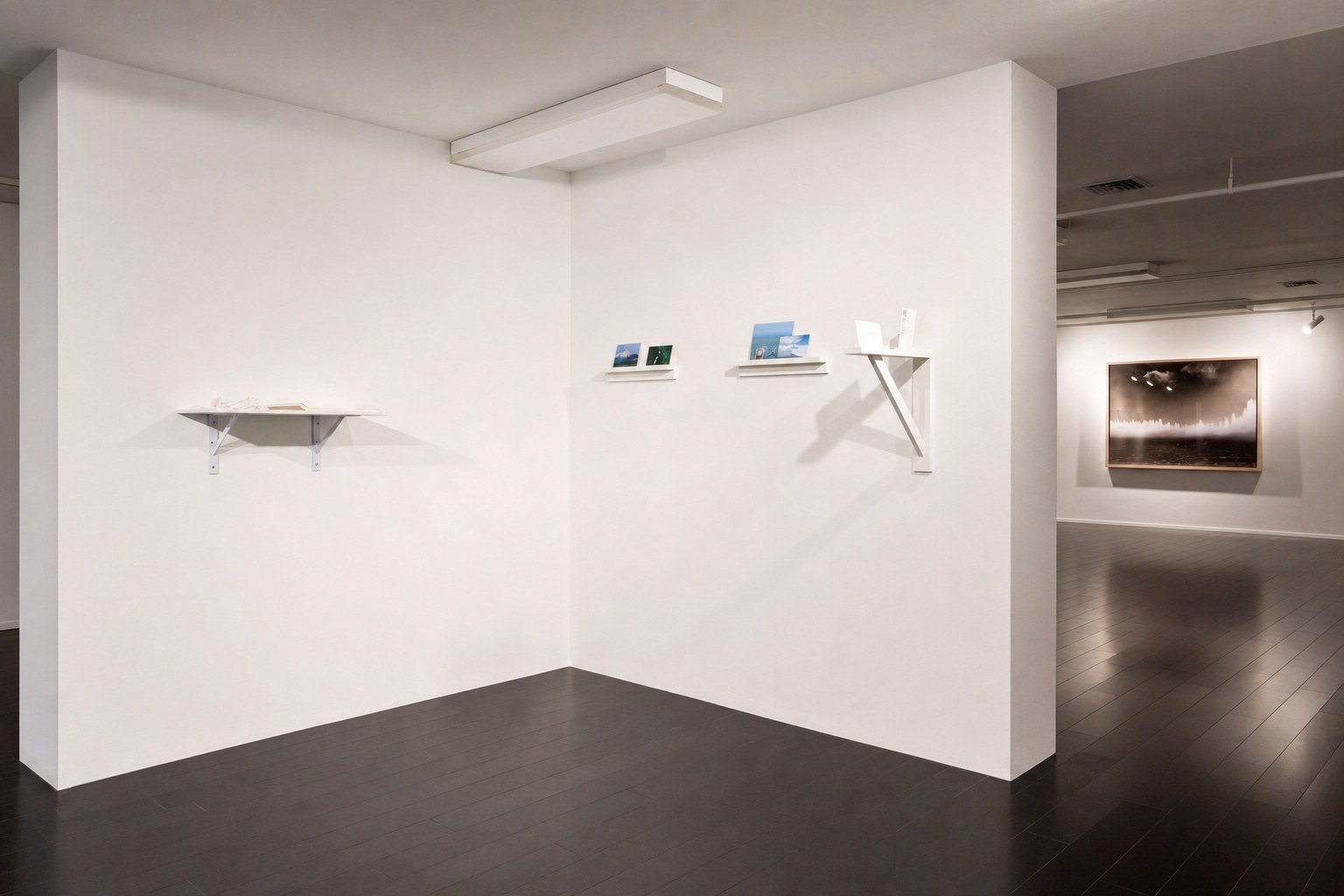 Better a Live Ass Than a Dead Lion — installation view, Eli Ridgway Gallery, San Francisco, 2011
