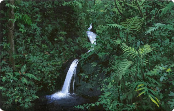 Elisheva Biernoff — Closing Remarks: Monte Verde Cloud Forest