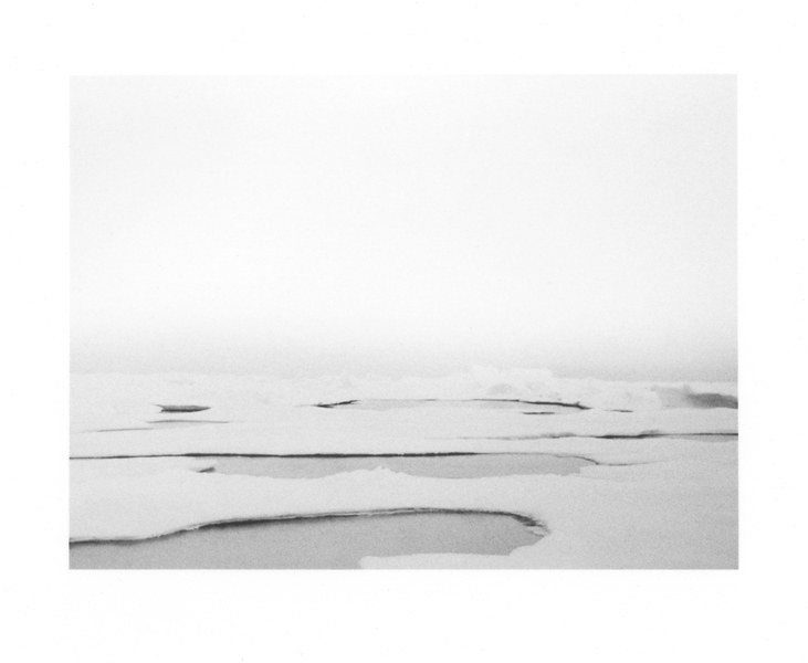 Sean McFarland — Park Ice
