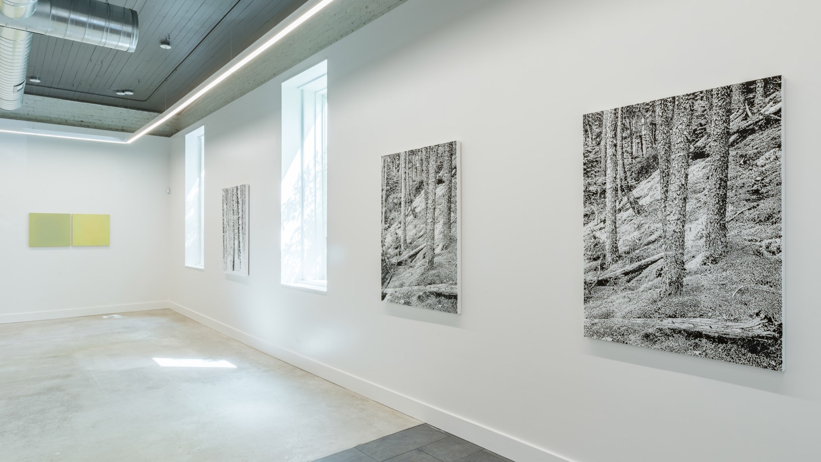 Bozeman Inaugural Exhibition — installation view