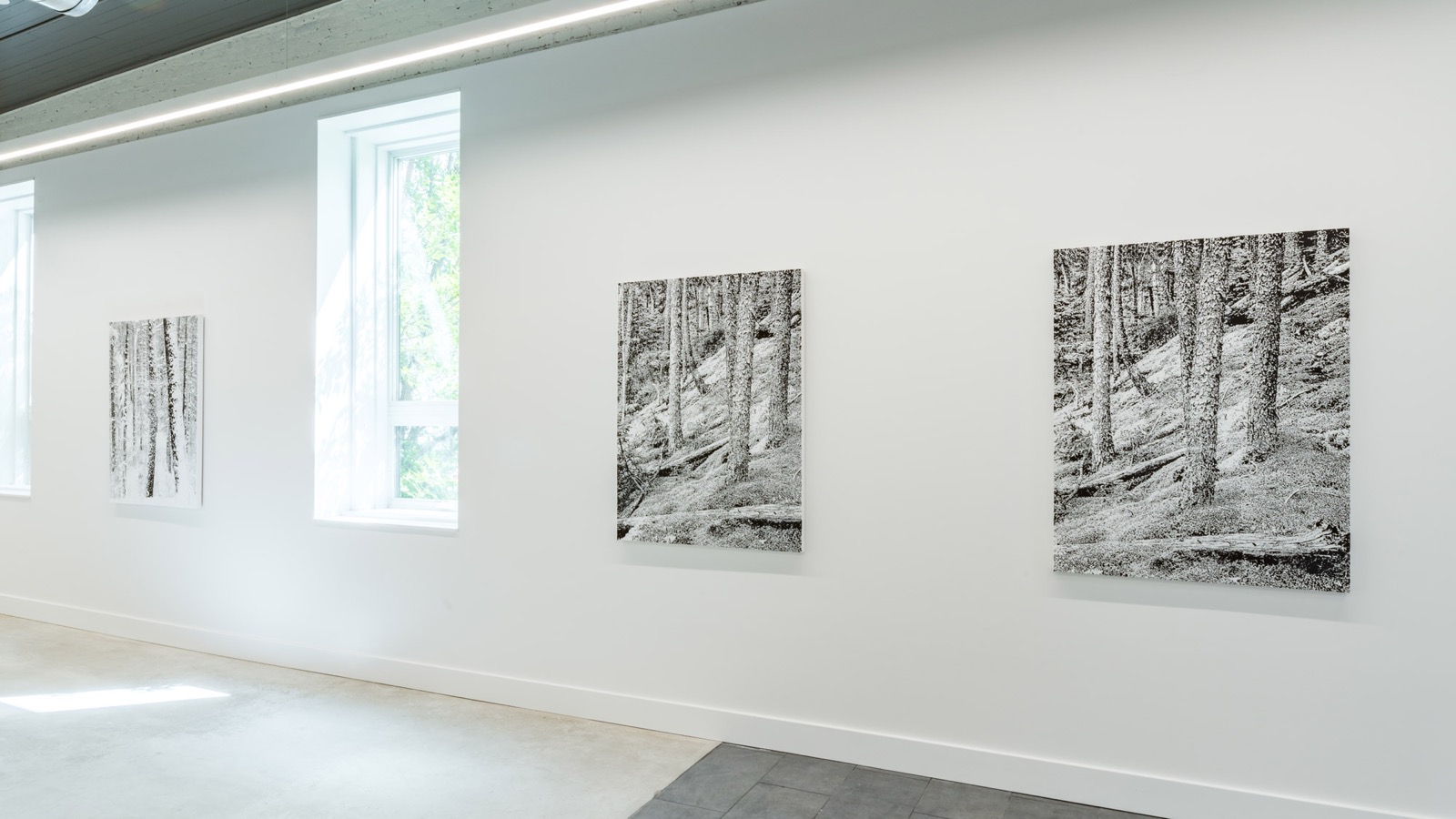 Bozeman Inaugural Exhibition — installation view