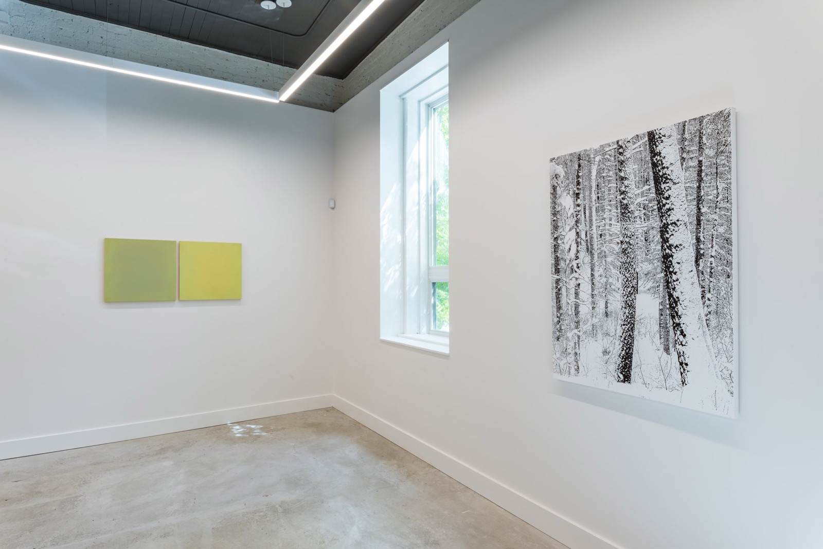 Bozeman Inaugural Exhibition — installation view