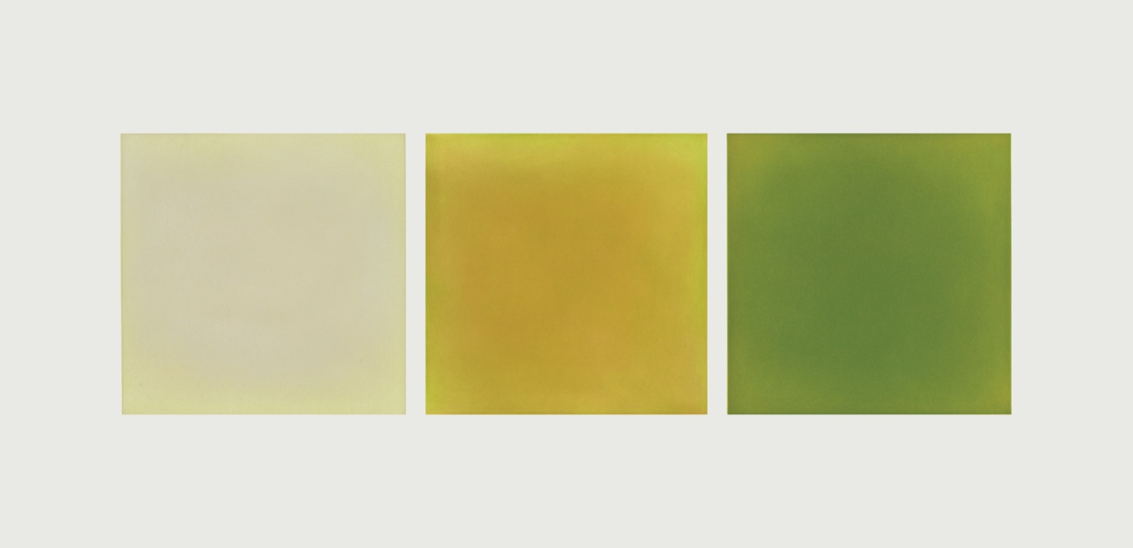 Anne Appleby — Cottonwood, 2012