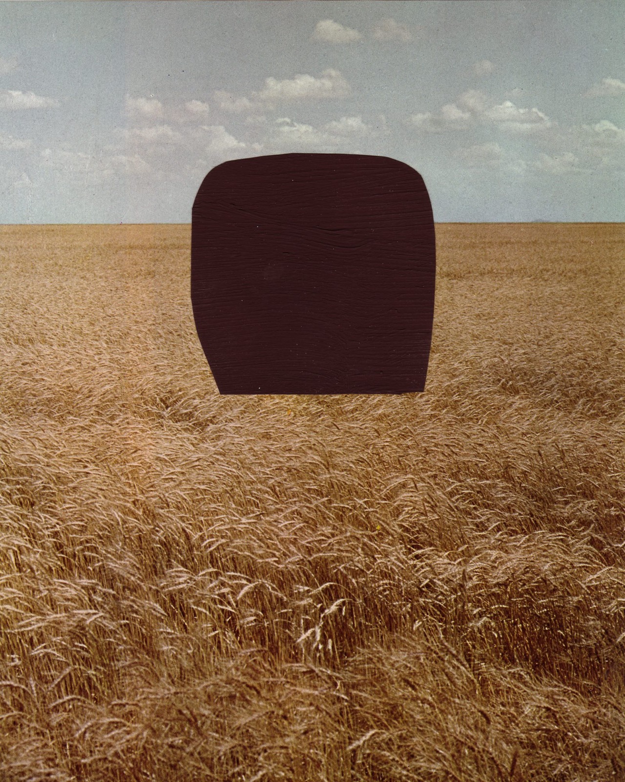 Medium Size Rock Placed on Field (Country Countryscape)