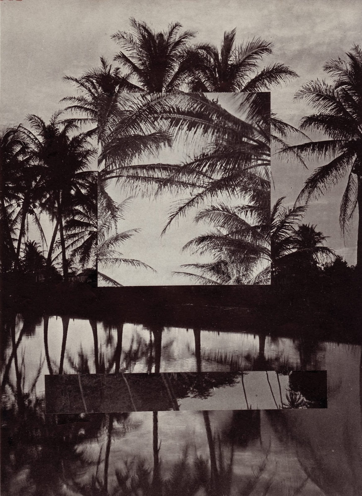 Untitled II (Masks/Tropical Rites of Passage Series)