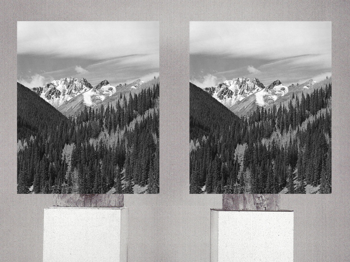 Brion Nuda Rosch, installation view