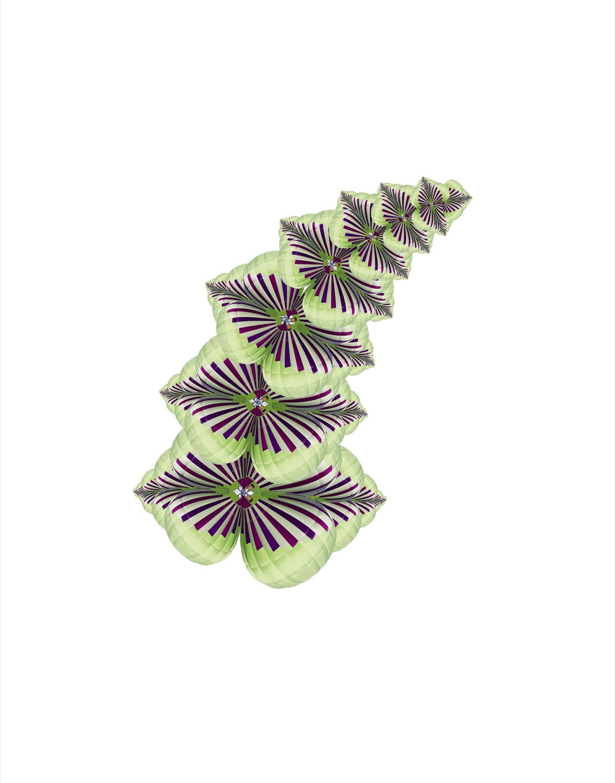 Fern