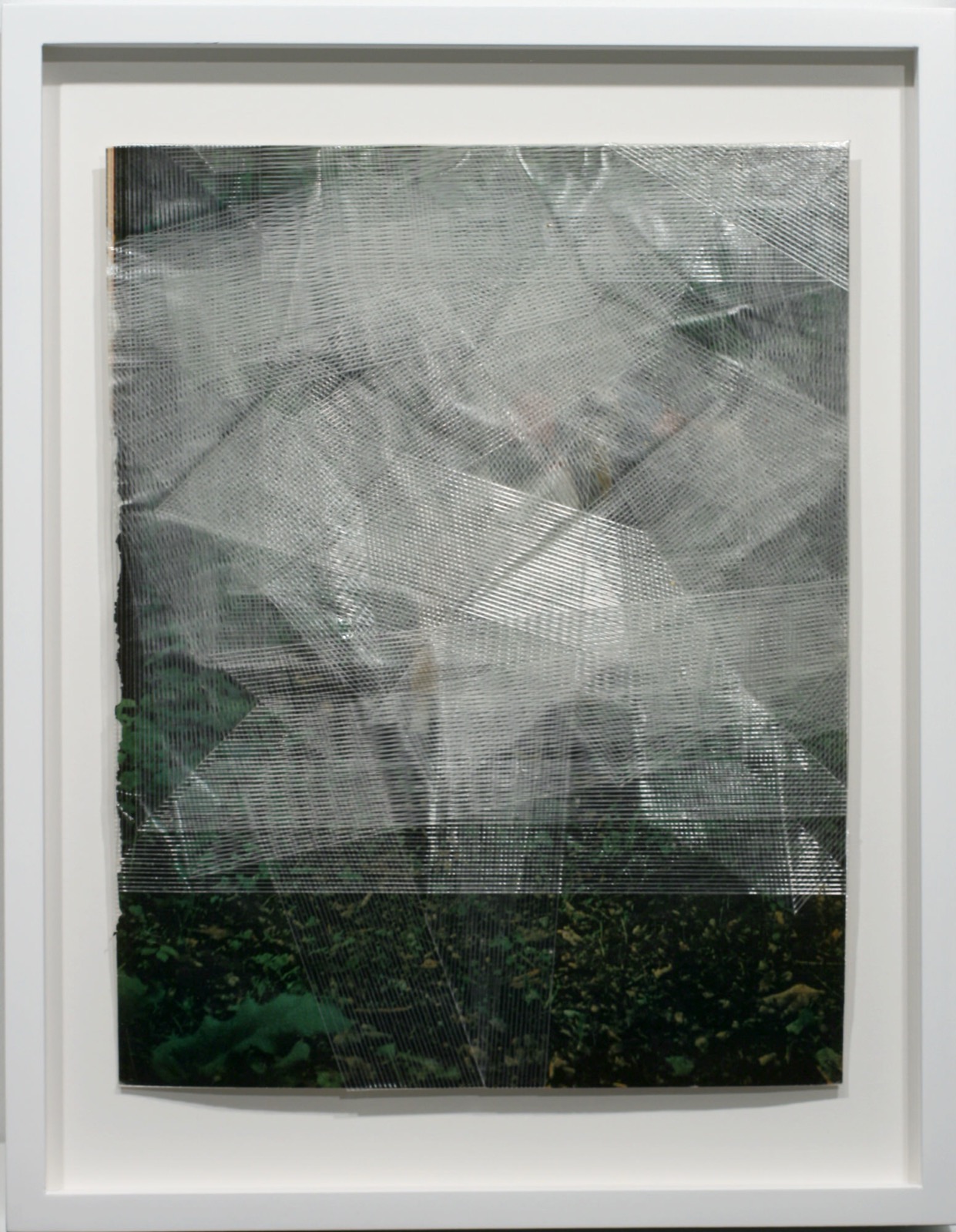 Obstructed Image #5
