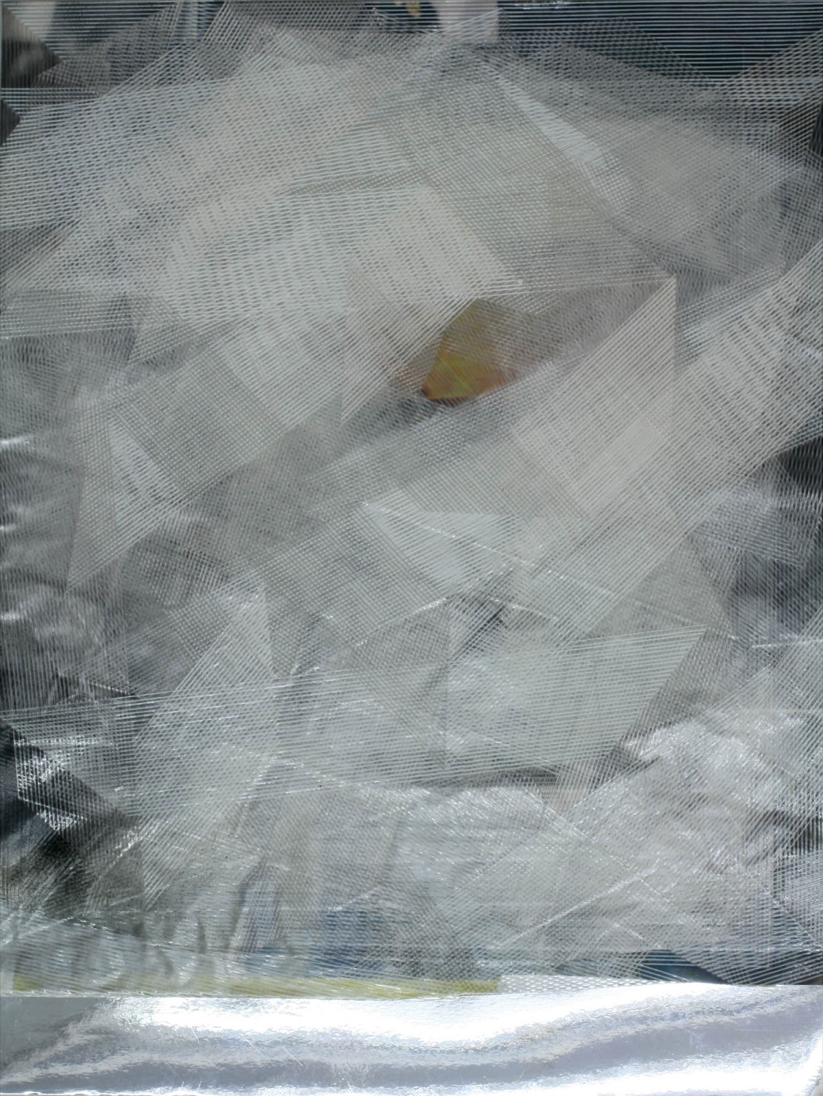 Obstructed Image #15