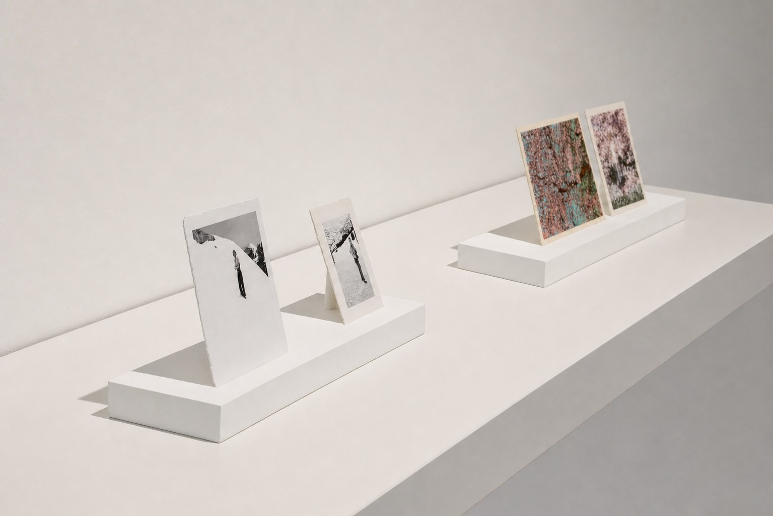 Elisheva Biernoff — installation view, Eli Ridgway Gallery, San Francisco, 2013