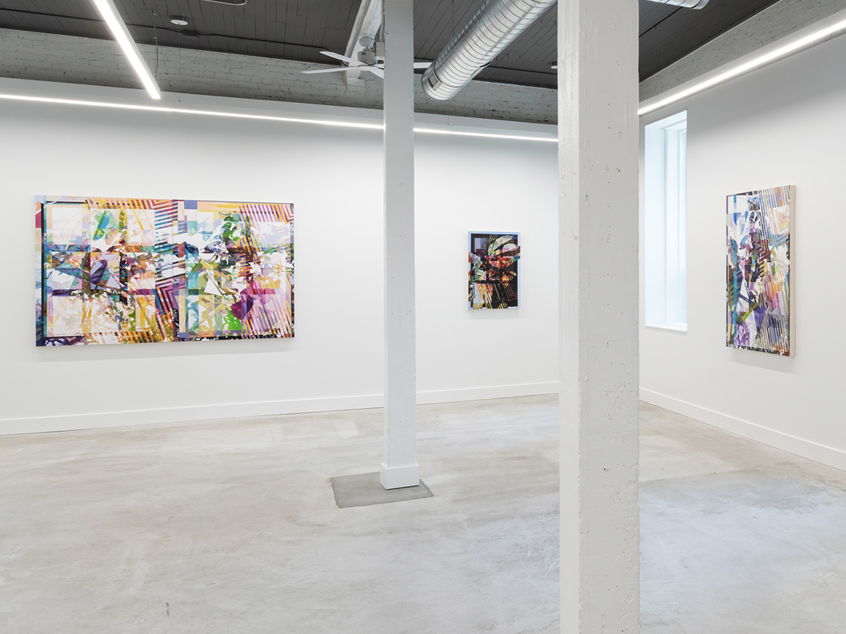 Griff Williams — Description Without Place, installation view