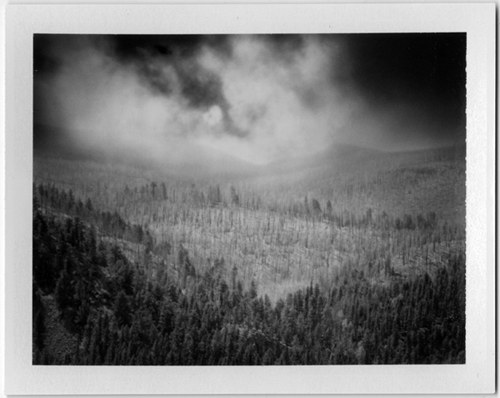 Sean McFarland — Valley
