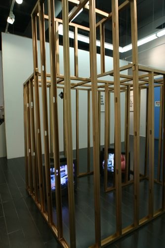 Mads Lynnerup — Cage