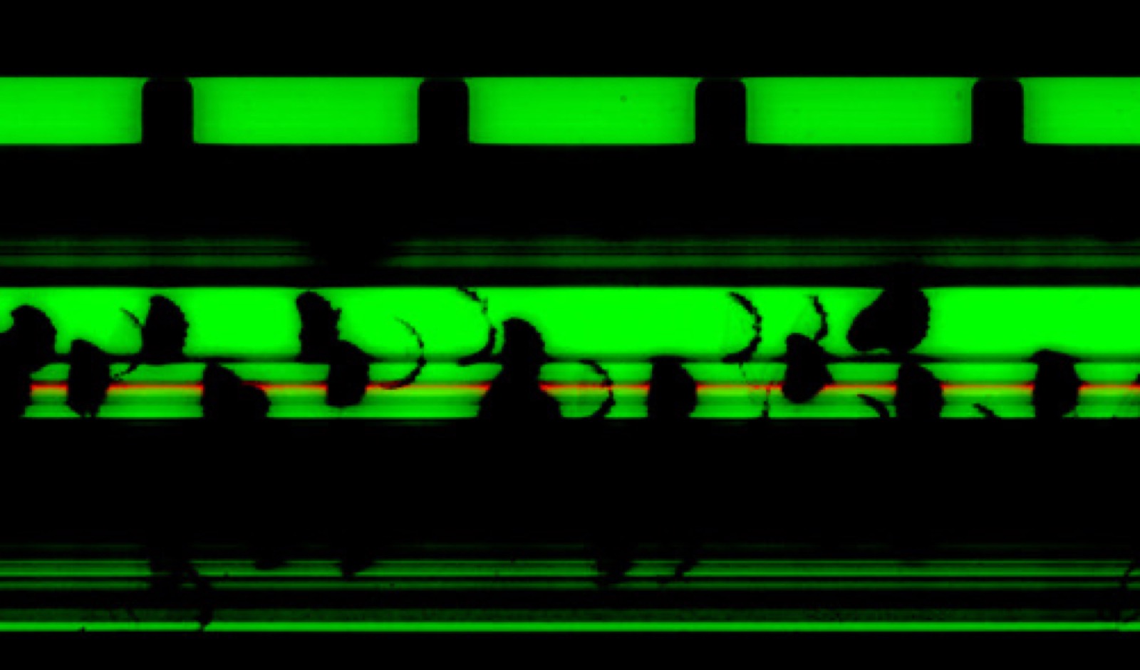 1871© / Deconstructive Mechanical Soundscape Striation Series / #15