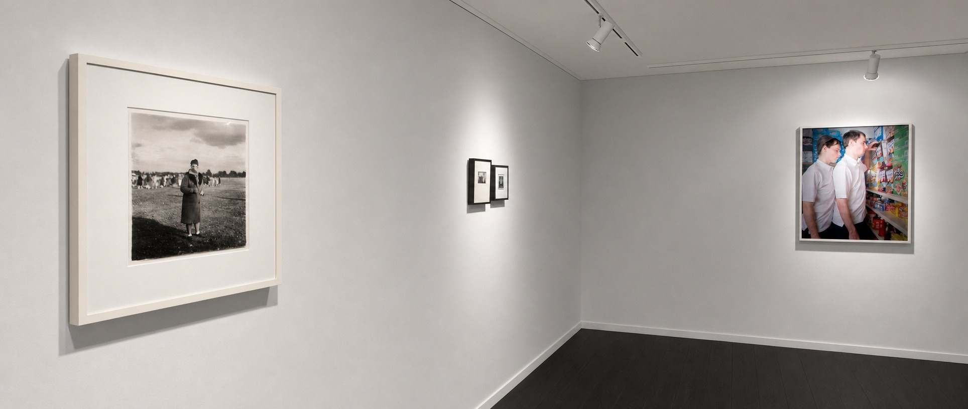 Mutables — installation view, Eli Ridgway Gallery, San Francisco, 2012