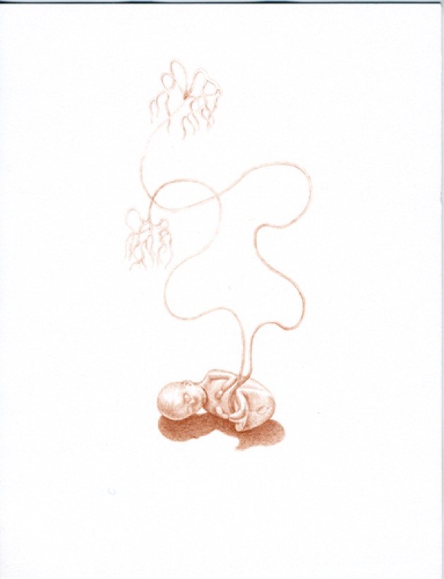 Alison Pebworth — Fig. 3