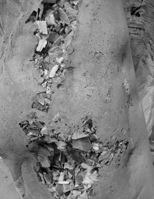 Jo Nigoghossian — Shell Stomach