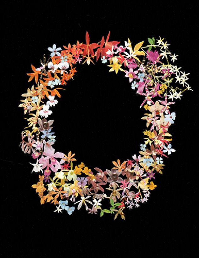 Stephen Eichhorn — Orchid Circle (Black)