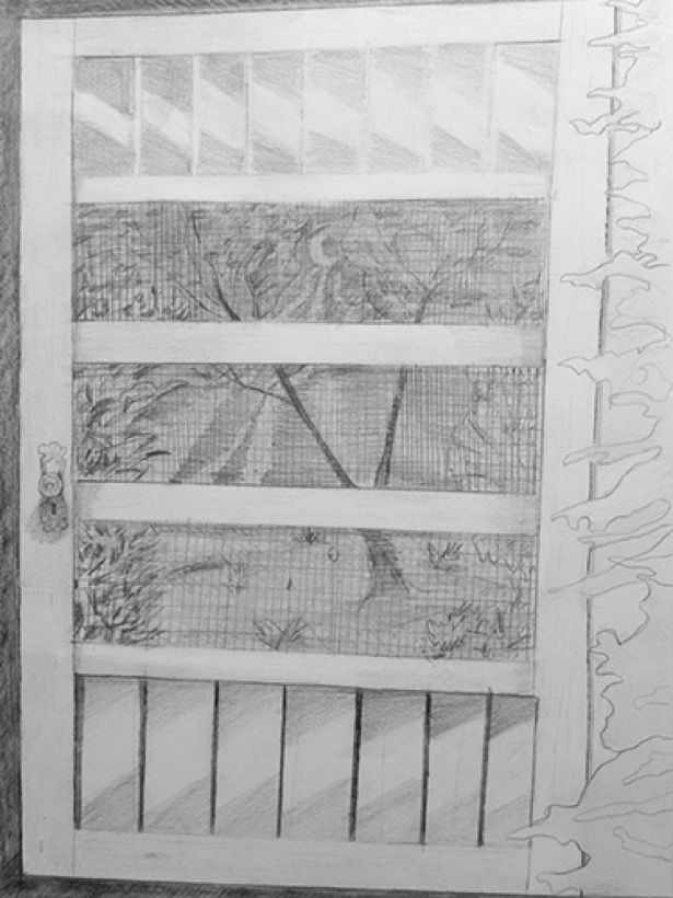 Rainen Knecht — Screendoor Shadows
