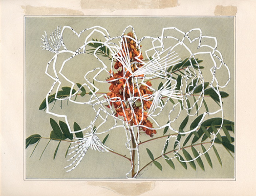 Alexis Mackenzie — Cyclic I