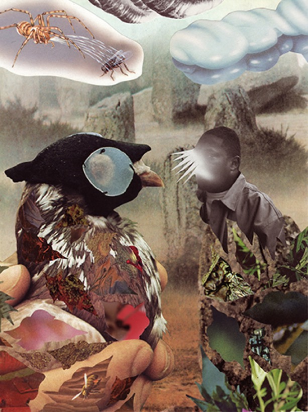 Hisham Akira Bharoocha — Un-foreseen Conversations