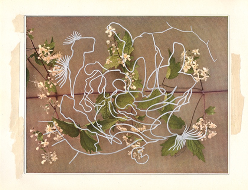 Alexis Mackenzie — Cyclic III