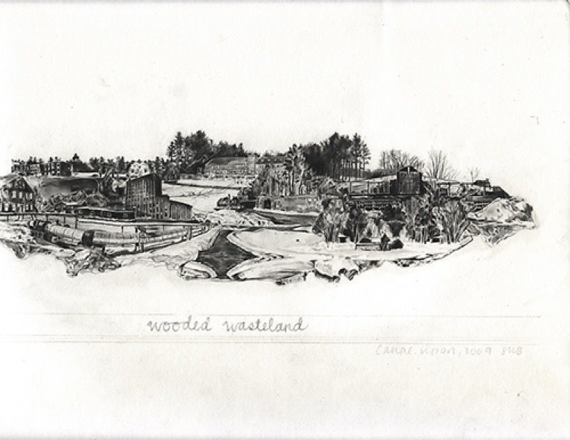 Sara Blaylock — Wooded Wasteland