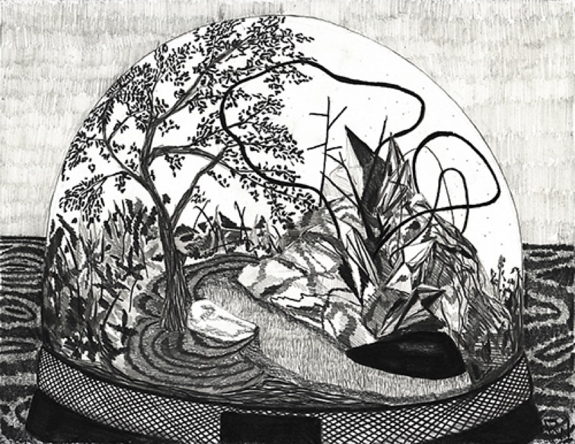 Paul Wackers — Desktop Garden