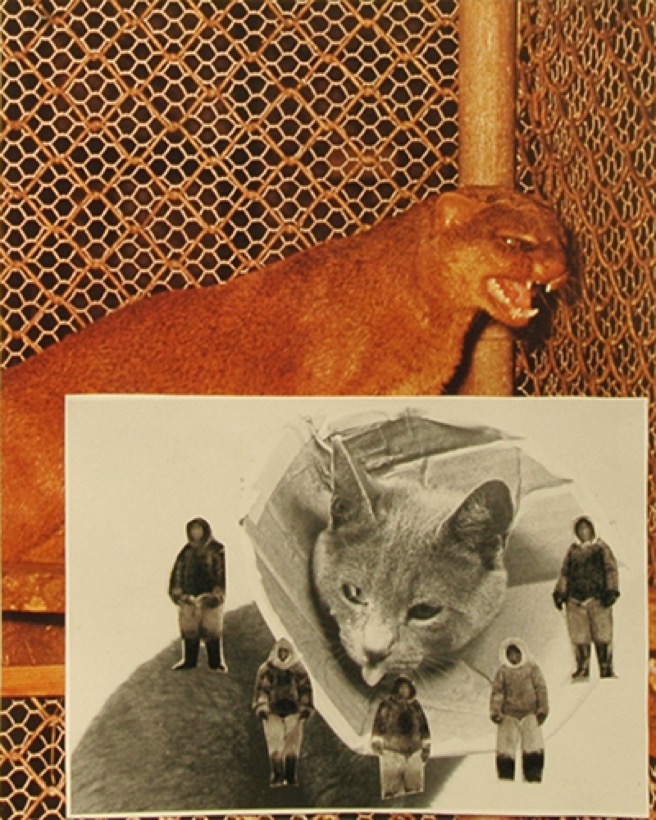 Katherine Nuda Rosch — Untitled (Cat Collar)