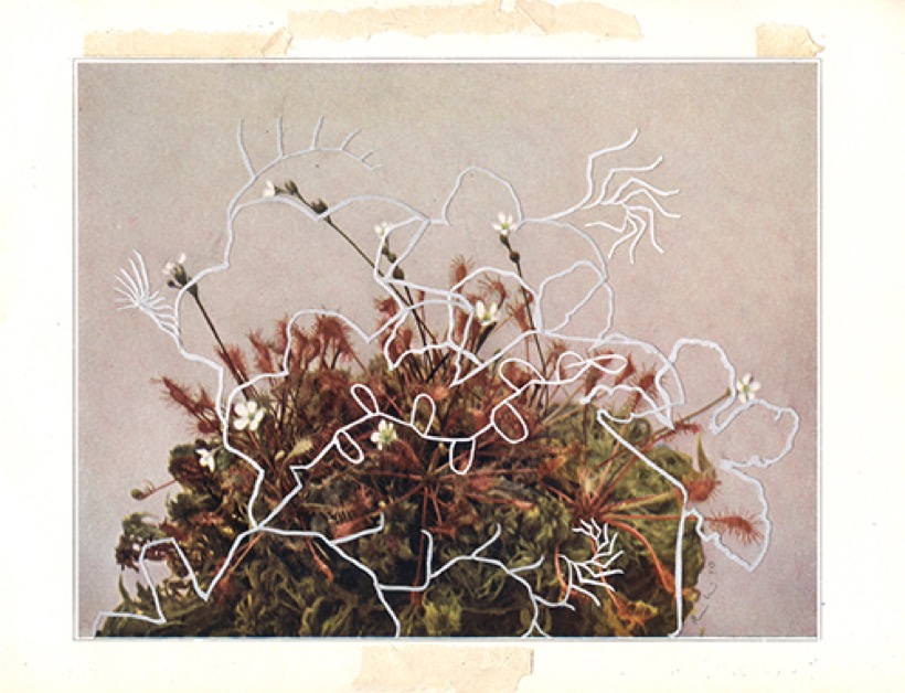 Alexis Mackenzie — Cyclic II