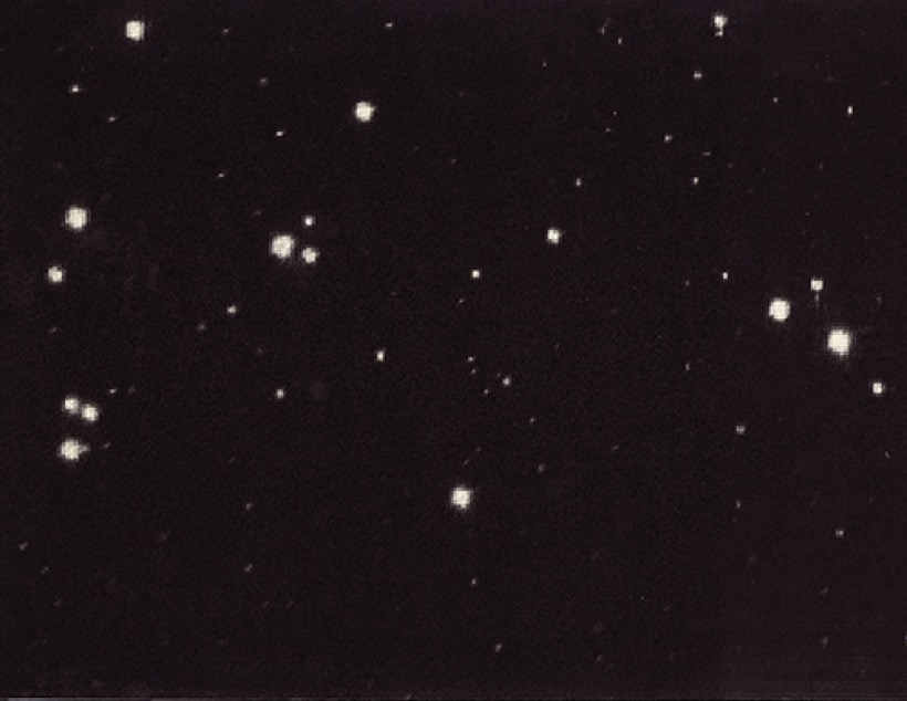 Walter Logue — The Stars Are Beautiful Tonight and So Are You