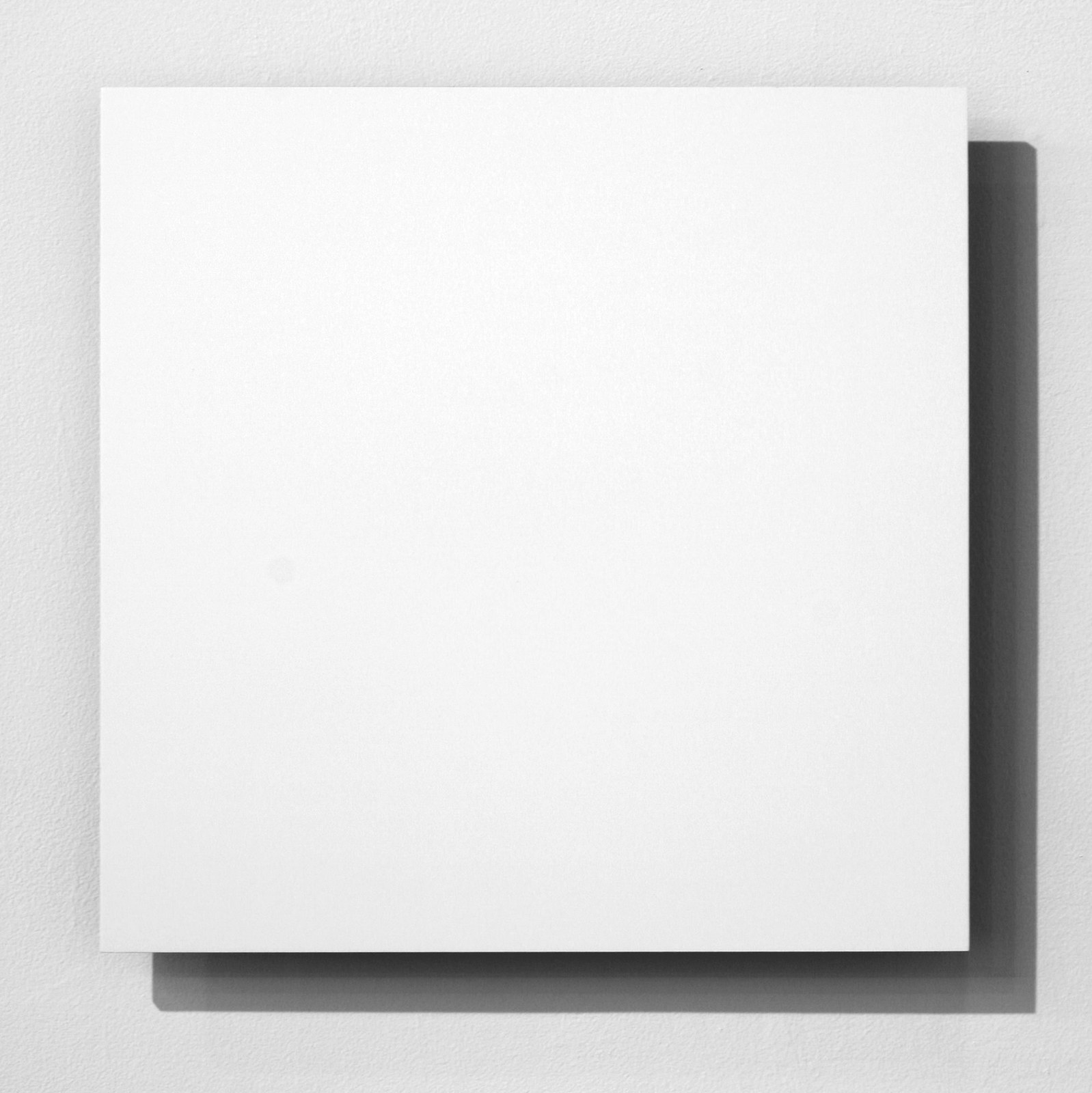 Rebecca Goldfarb — Polar Bear