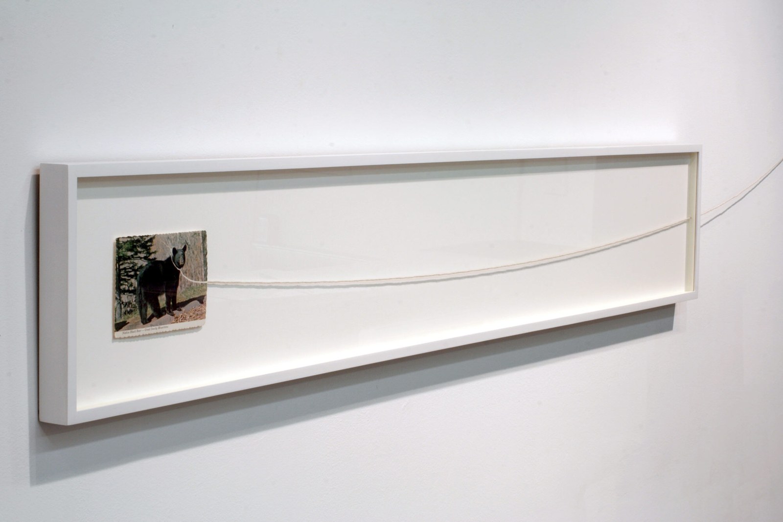 Rebecca Goldfarb — Bear Ridge