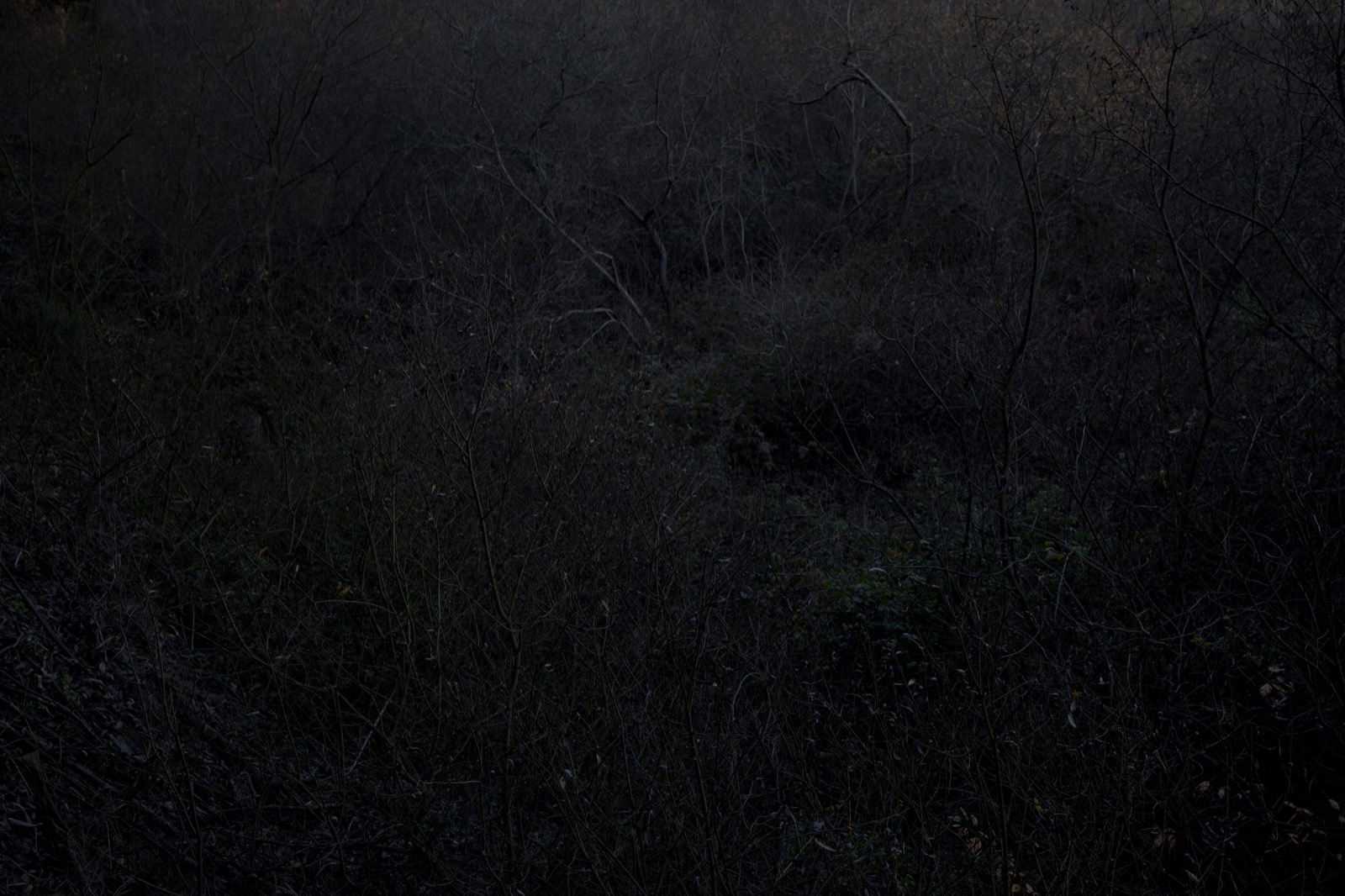 Untitled (blind creek)