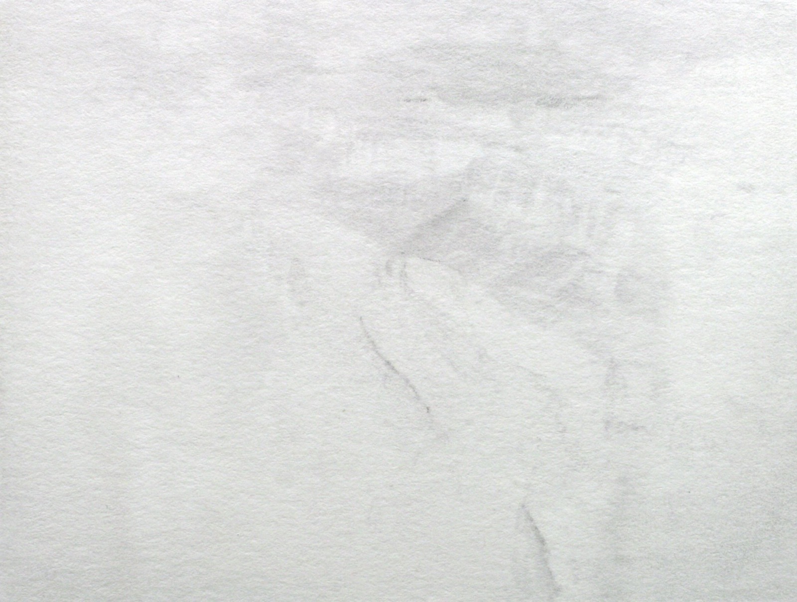 Canyon (negative)
