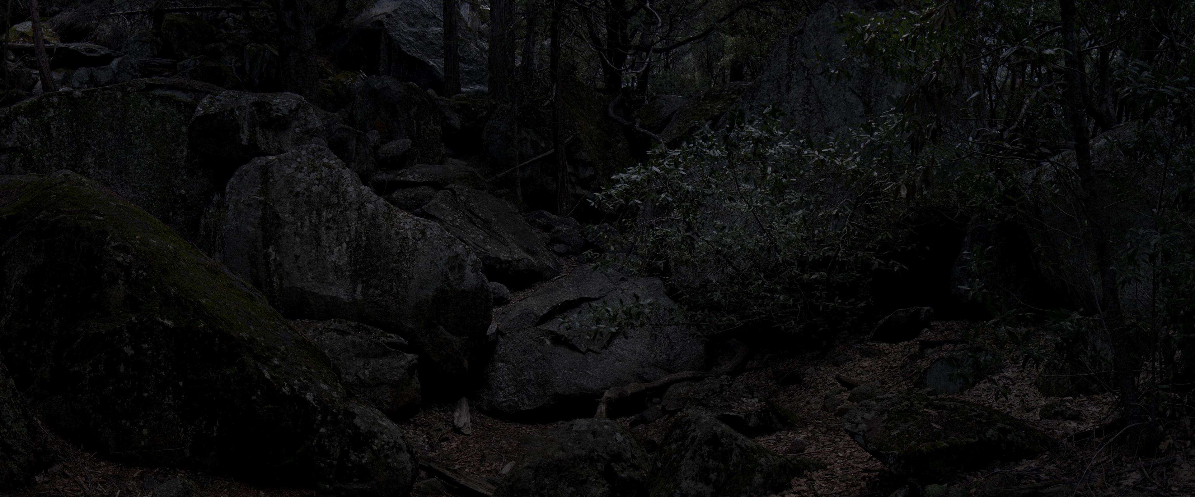 Sean McFarland — Viewshed — installation view