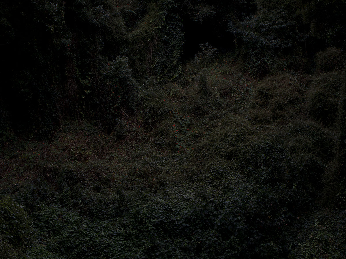 Sean McFarland — Viewshed, installation view