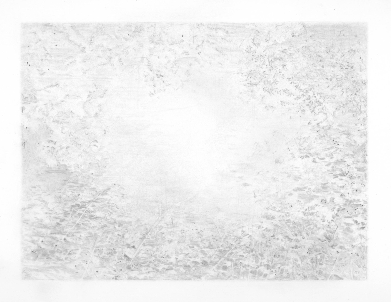 Untitled (garden)