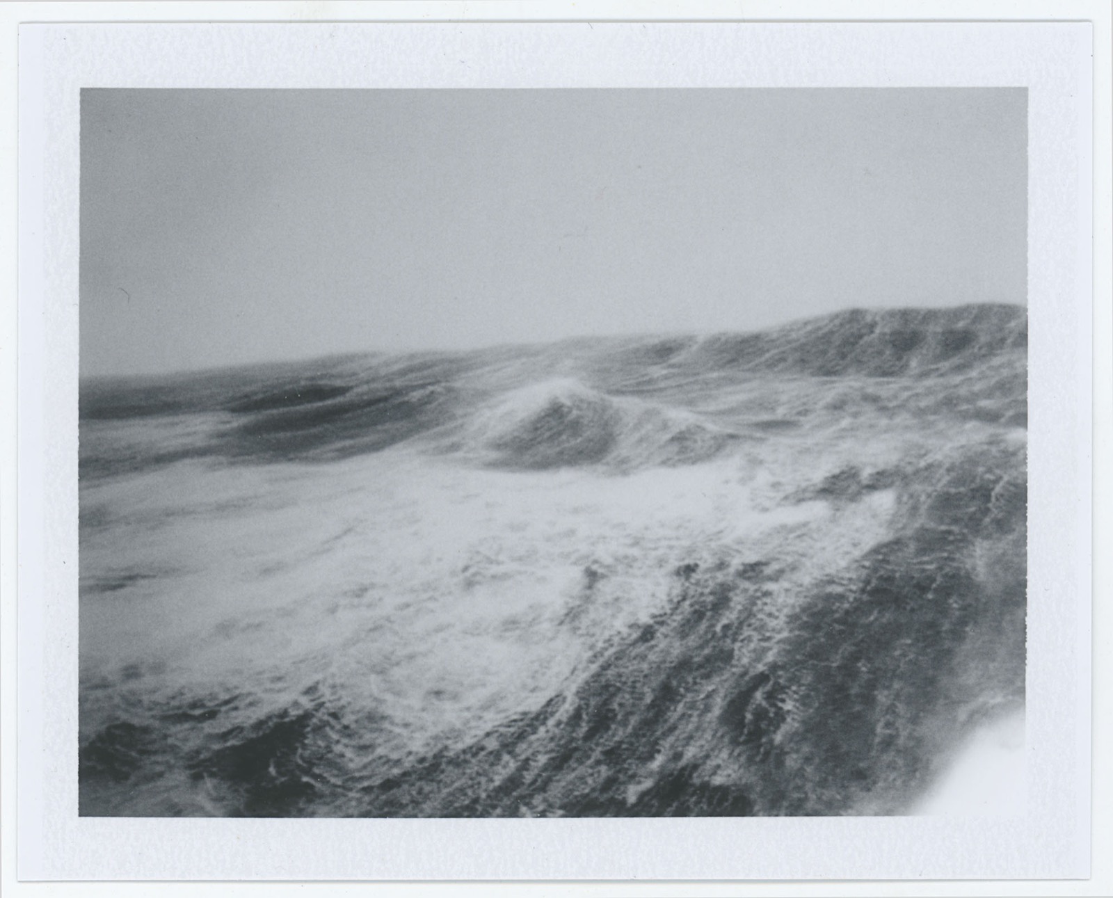 Sea Winds