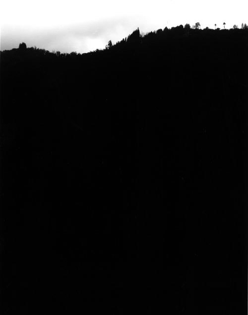 J. John Priola — Two Palms, 2005