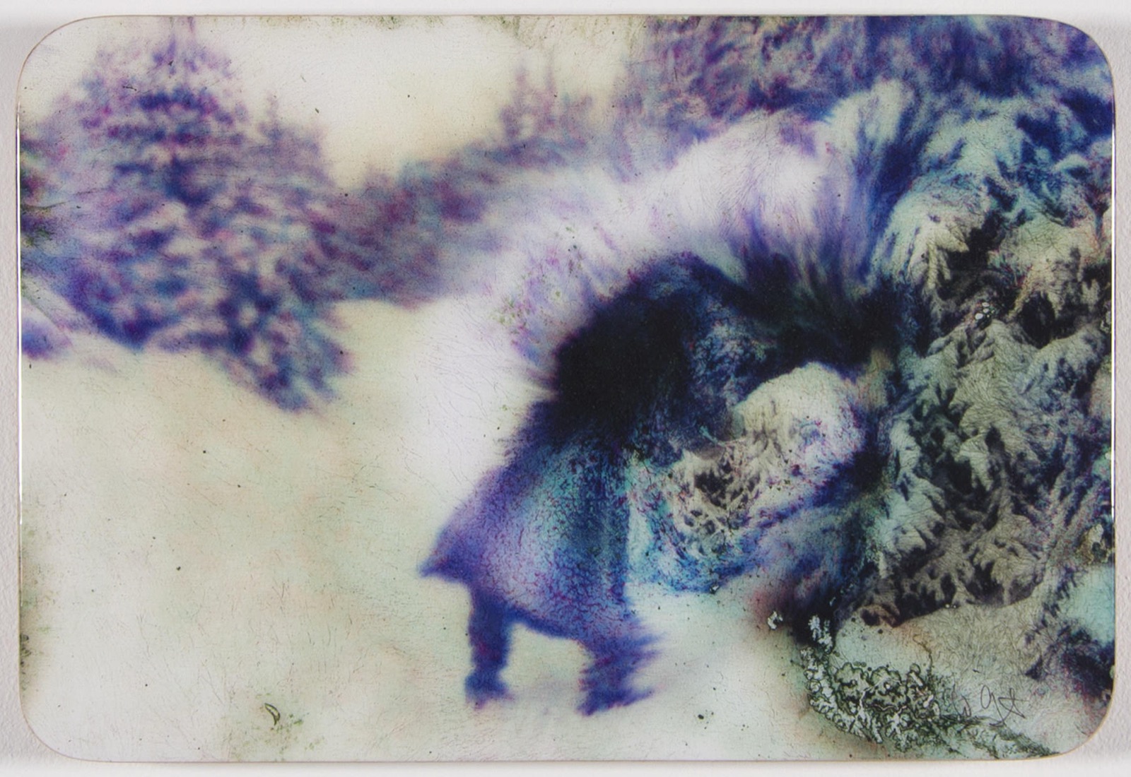 Untitled (Into the Wild)